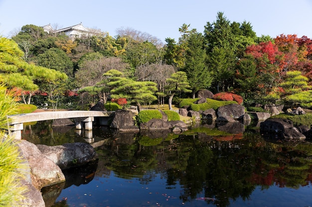 Jardín Kokoen tradicional de otoño