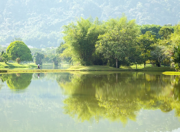 Jardín del lago