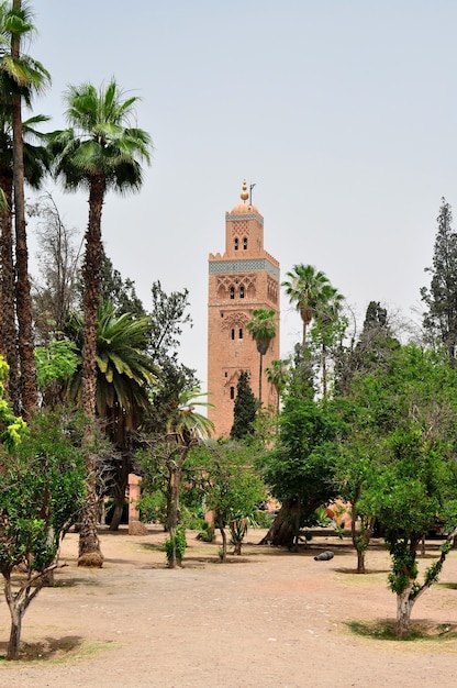 Jardín de la mezquita de Koutoubia