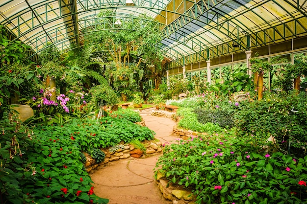 Foto jardín de orquídeas y otra gran variedad de flores en tailandia, flores de muchos colores