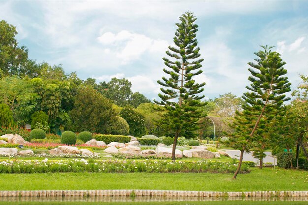 Jardín paisajístico al aire libre con estanque