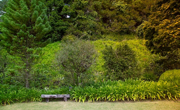 Jardín paisajístico con un banco de madera.