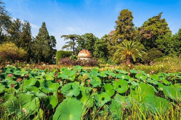 Jardin pflanzt botanischen Garten Montpellier