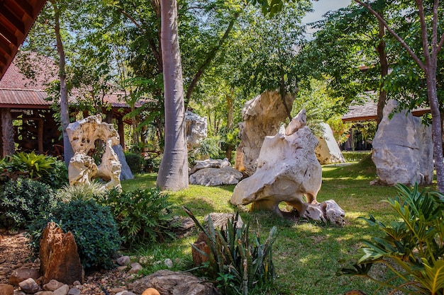 jardín con piedra