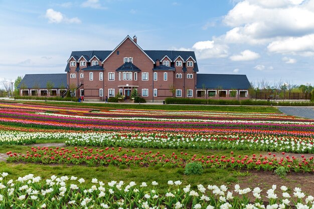 Jardín de primavera de coloridos tulipanes en un huerto en la ciudad Coloridos tulipanes en un parterre