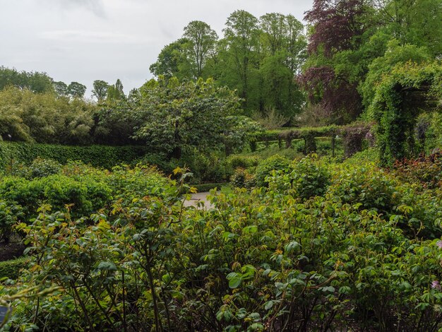 jardín en el Reino Unido.