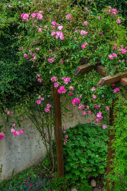 jardin de roseloirefrancia