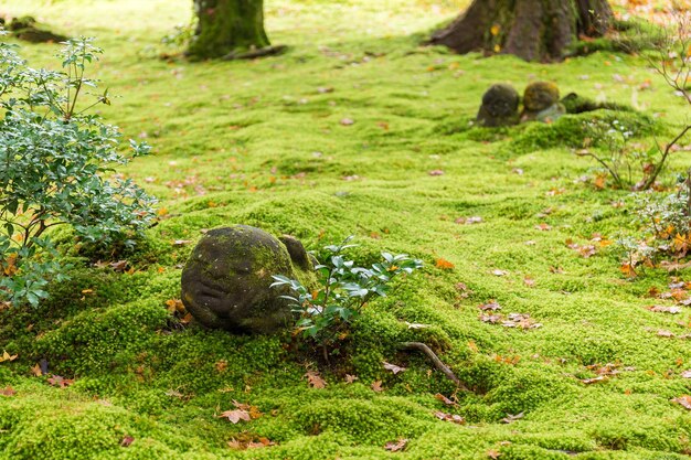 jardín de sanzenin