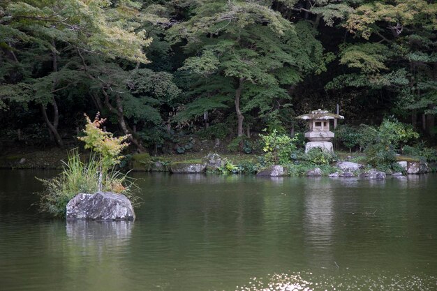 Foto el jardín del templo naritasan shinshoji es un popular complejo de templos budistas en la ciudad de narita