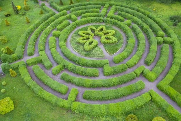 Jardín topiario en forma de laberinto, en el jardín botánico Grishka en Kiev.