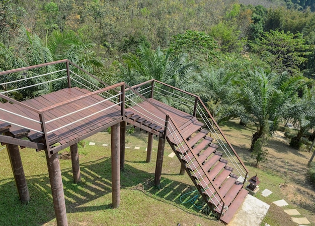 Jardín verde con escalera