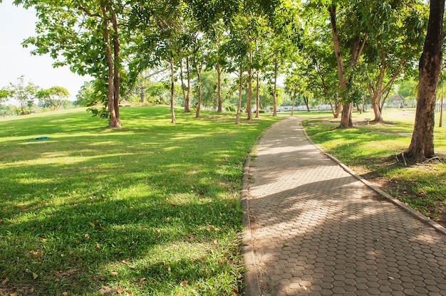 Jardín verde con pista para correr en el parque