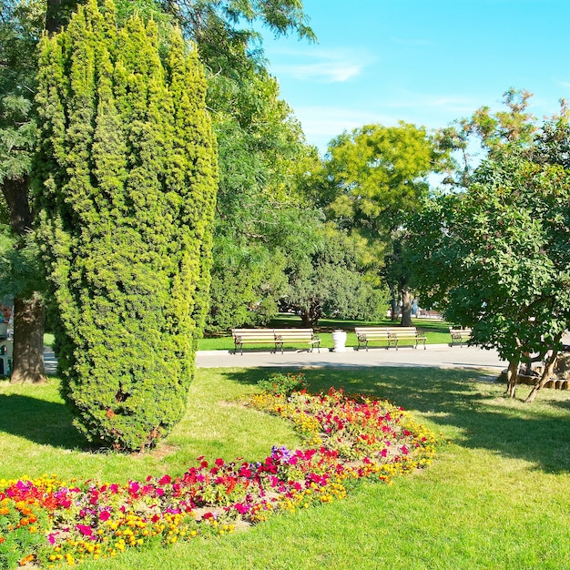 Jardín verde soleado en el parque de la ciudad con flores y árboles