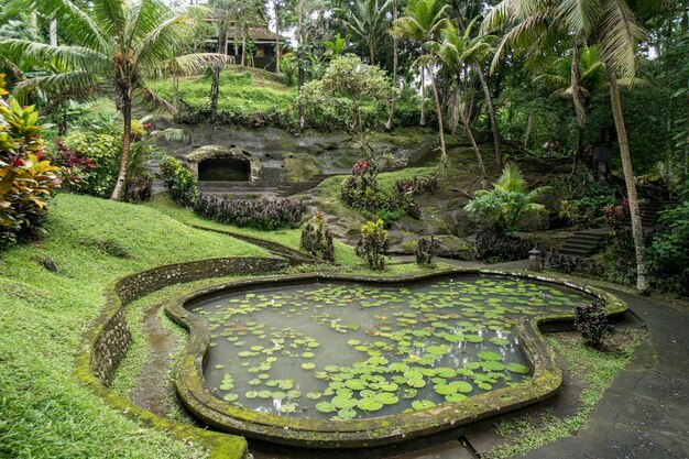 Jardín verde en el templo de la cueva del elefante de Goa Gajah cerca de Ubud Bali Indonesia