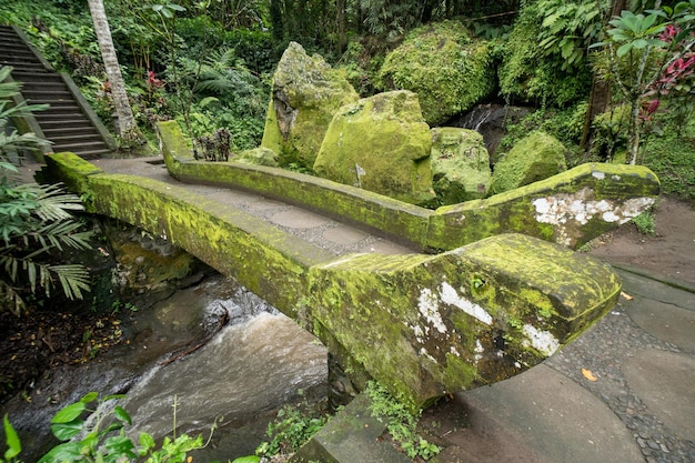 Jardín verde en el templo de la cueva del elefante de Goa Gajah cerca de Ubud Bali Indonesia