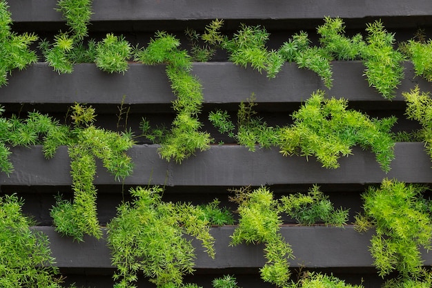 Jardín vertical con plantas jóvenes en crecimiento Vida sosteniblexDxA