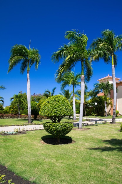 Jardín