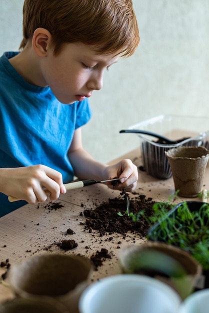 Jardinagem doméstica nas mãos de uma criança jardineira plantando mudas e regando mudas de plantas em vasos ecológicos fotografia vertical