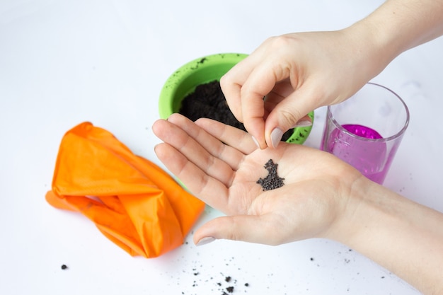 Jardinagem doméstica, plantio de sementes de plantas. Fertilizando o solo para mudas.