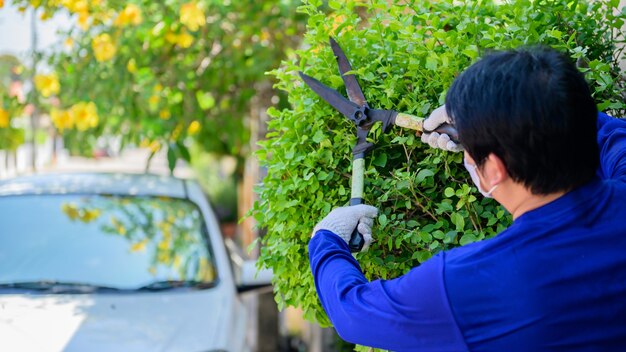 Jardinagem doméstica quando Bloqueio e Auto-quarentena. Atividade recreativa em jardim botânico durante a crise do vírus Corona. Fique em casa para relaxar e se distanciar socialmente.