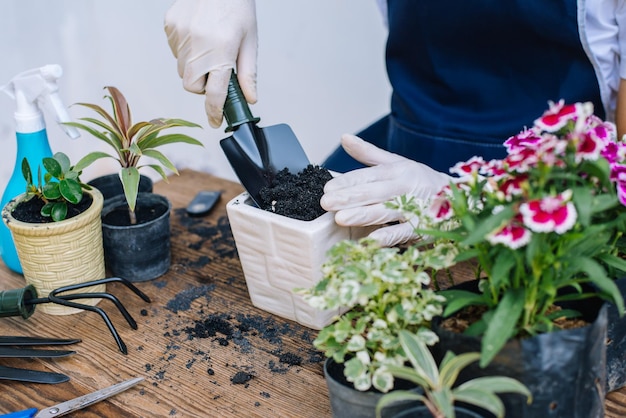 Jardinagem em casa O jardineiro prepara o solo em um vaso Closeup