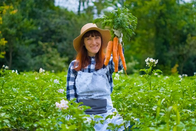 Jardinagem - Mulher jovem e bonita com cenouras orgânicas em uma horta. luz de fundo