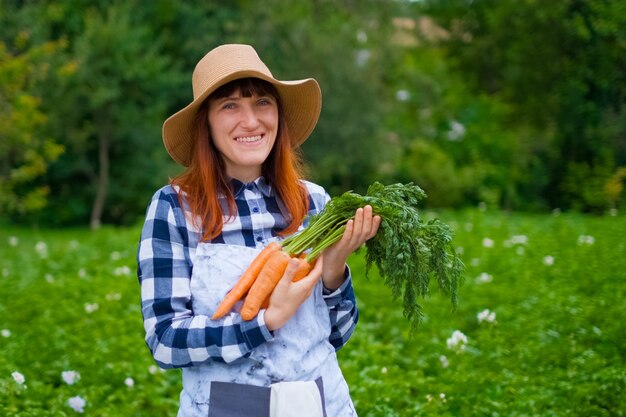 Jardinagem - Mulher jovem e bonita com cenouras orgânicas em uma horta. luz de fundo