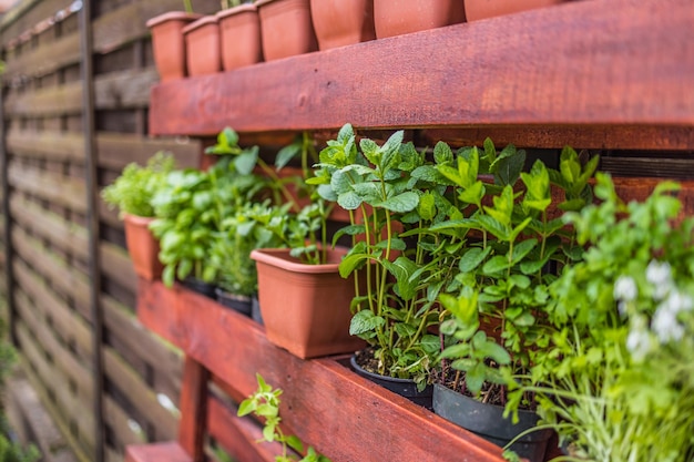 Jardinagem para decoração de parede como prateleira para vasos de flores Jardim com floreiras de madeira reciclada