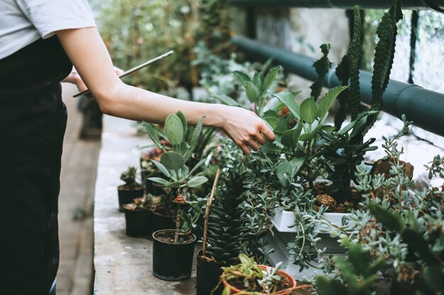 Jardineira com tablet digital trabalhando em estufa