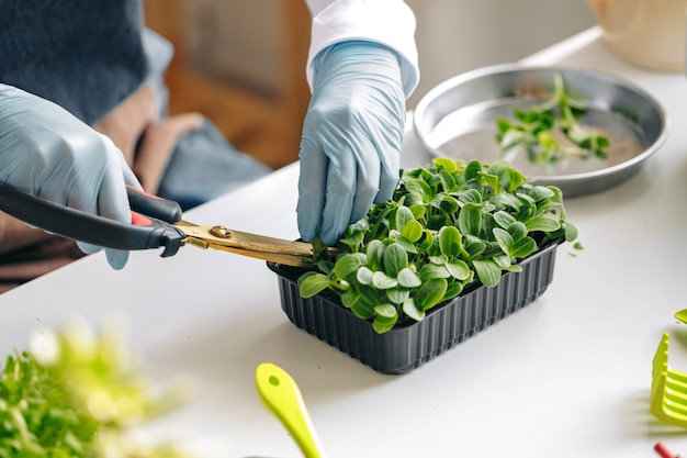 Jardineira cuidando das plantas dentro de casa fechar