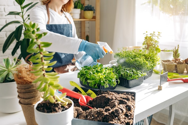 Jardineira cuidando das plantas dentro de casa