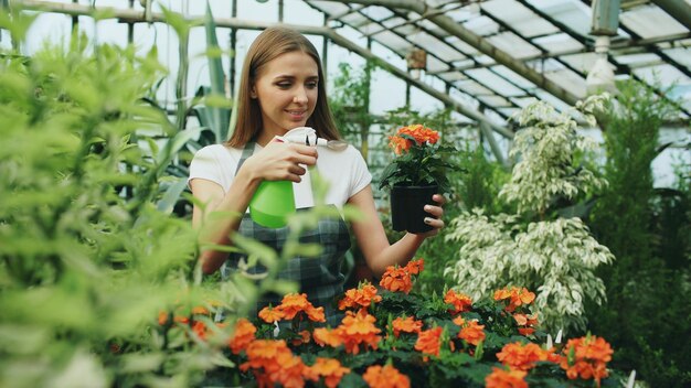 Jardineira de mulher atraente em avental regando plantas e flores com pulverizador de jardim em estufa