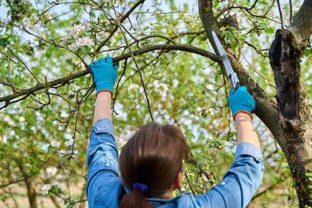 Jardineira em luvas com serra de jardim cortando um galho seco em uma macieira com