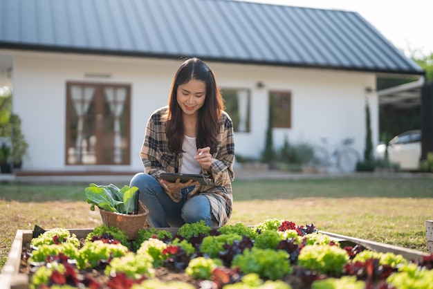 Jardineira feminina escrevendo dados no tablet enquanto cuida e verifica vegetais de crescimento no jardim doméstico