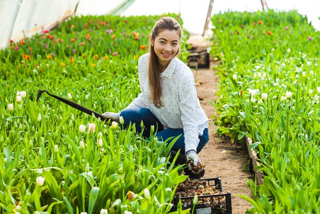 Jardineira plantando tulipas no canteiro