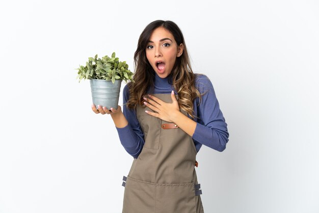 Jardineira segurando uma planta em branco surpresa e chocada enquanto olha para a direita