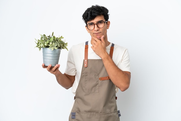 Jardineiro argentino segurando uma planta isolada no fundo branco pensando