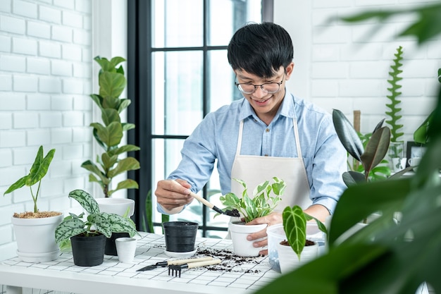 Jardineiro asiático usando uma pá para transplantar a planta para um novo vaso e cuidar das plantas no quarto em casa durante uma atividade de hobby, Conceito de horta doméstica
