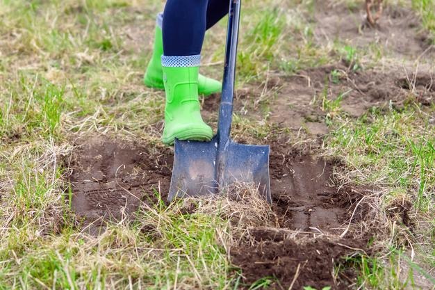 Foto jardineiro cava solo com pá no conceito de agricultura de jardim