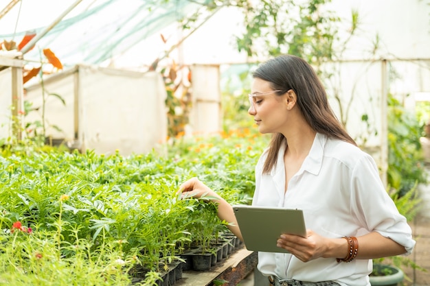 Jardineiro de mulheres de negócios atraente em copos usando o tablet. Tecnologia moderna em jardinagem.
