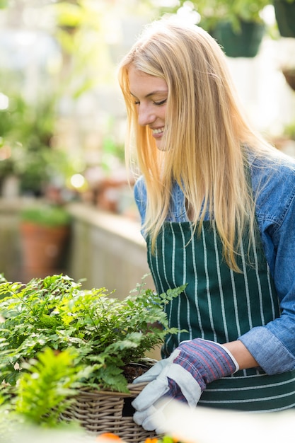 Jardineiro feminino carregando plantas na cesta de vime