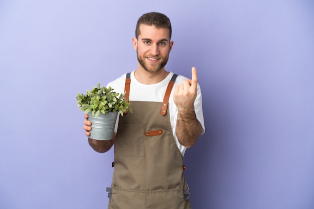 Jardineiro homem caucasiano segurando uma planta isolada na parede amarela fazendo gesto de aproximação