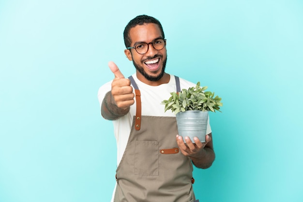 Jardineiro latino segurando uma planta isolada em um fundo azul com o polegar para cima porque algo bom aconteceu