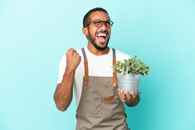 Jardineiro latino segurando uma planta isolada em um fundo azul e comemorando uma vitória