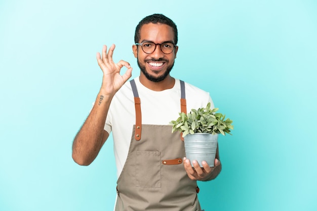 Jardineiro latino segurando uma planta isolada em um fundo azul e mostrando o sinal de ok com os dedos