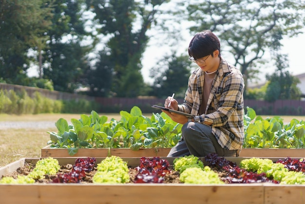 Jardineiro masculino escrevendo dados no tablet enquanto cuida e verifica vegetais de crescimento no jardim doméstico