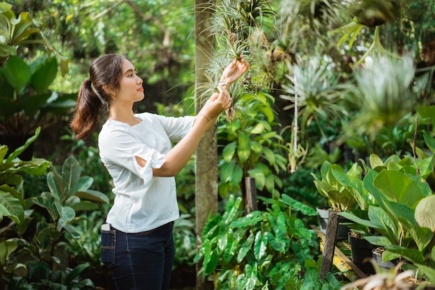 Jardineiro no trabalho, cuidar de plantas verdes