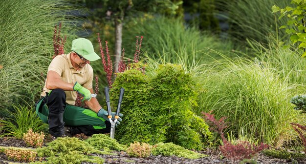 Jardineiro profissional com poda de jardim e ferramentas de corte