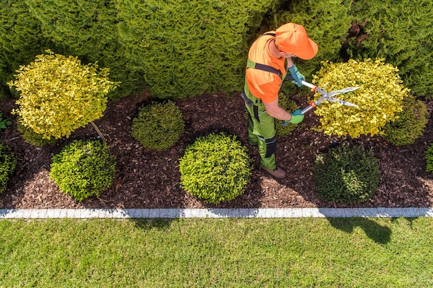 Jardineiro profissional no trabalho