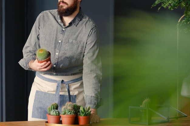 Jardineiro segurando cacto com suculentas na mesa enquanto trabalhava i